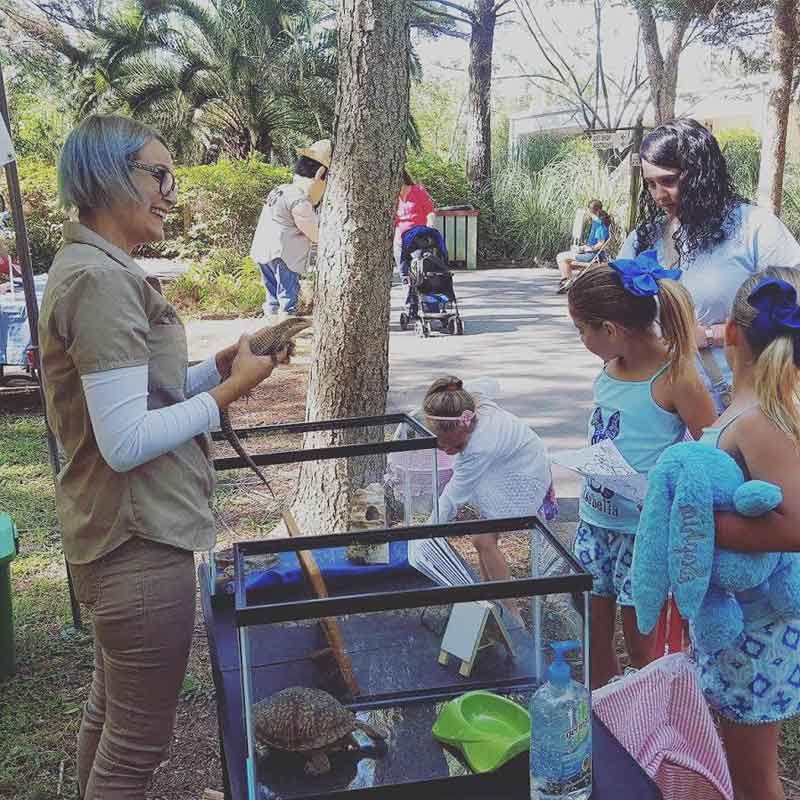 photo gallery image of Explaining Reptiles